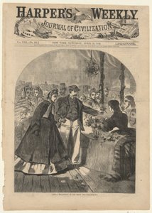 Floral Department of the Great Fair, from Harper