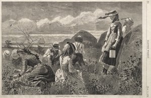 Gathering Berries by Winslow Homer