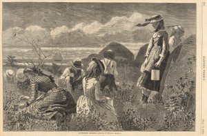Gathering Berries, from Harper