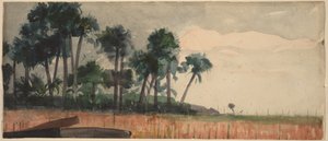 Palm Trees, Red by Winslow Homer