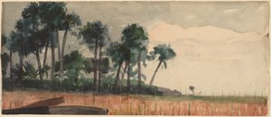 Palm Trees, Red