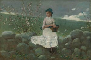 Peach Blossoms