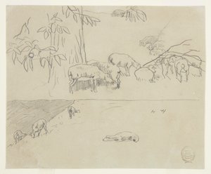 Sheep Grazing