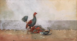 The Cock Fight
