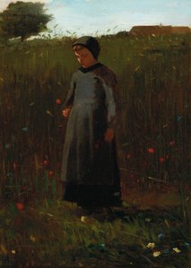 The Flowers of the Field
