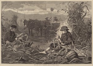 The Last Days of Harvest by Winslow Homer
