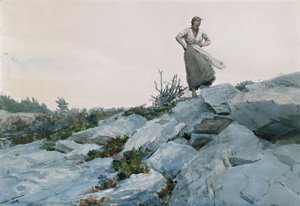 The Twigs Gatherer