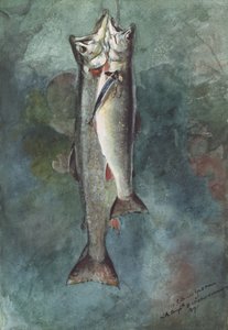 Two Trout