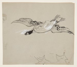 Wild Goose in Flight