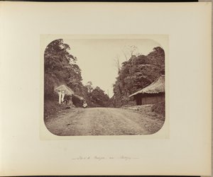 Top of the Poentjak near Buitenzorg by Woodbury and Page