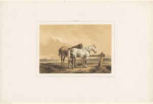 Two horses in a meadow by a fence by Wouter  Verschuur