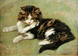 Study of a Cat
