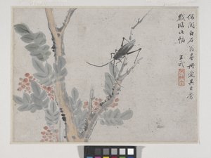 Insect and Tree (after Shen Zhou)