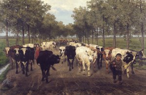 The Meersstraat in Ghent by Xavier de Cock