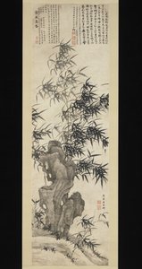 Bamboo in Wind