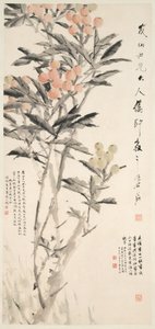 Pipa Loquats, c. 1888-89