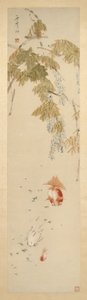 Wisteria and Goldfish by Xugu