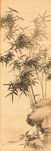 Bamboo