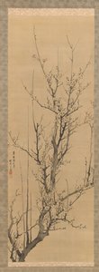 Plum Blossoms