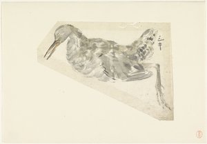 Dead Waterfowl