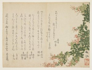 Flowering Bush Clover