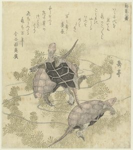 Three Turtles Among Water Plants (series title: A Series of Two Prints of Cranes and Turtles) by Yashima Gakutei