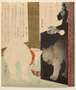 White Cat Reflected in a Lacquer Dresser
