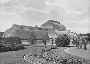 The Great Palm House, Kew Gardens by York and Son