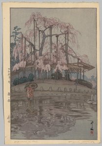 Eight Scenes of Cherry Blossoms: Spring Rain