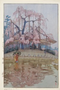 Spring Rain