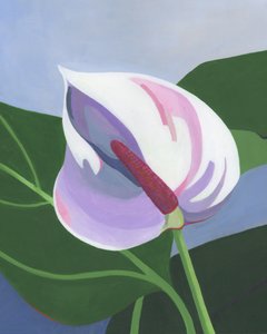Elegant White Anthurium by Yvonne Gustafsson