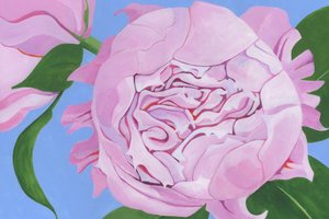 Pink Peony Bloom by Yvonne Gustafsson
