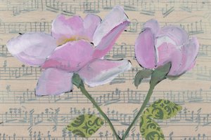 Soft Pink Roses Music by Yvonne Gustafsson