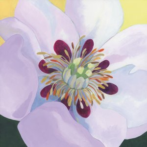Vibrant Magnolia Petals by Yvonne Gustafsson