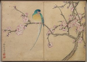 Desk Album: Flower and Bird Paintings Bird with Plum Blossoms by Zhang Ruoai