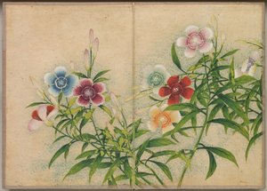 Desk Album: Flower and Bird Paintings