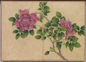 Desk Album: Flower and Bird Paintings Rose