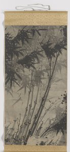 Bamboo