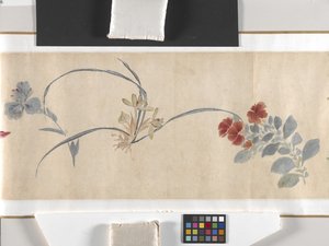 Coloured Flowers