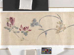 Coloured Flowers