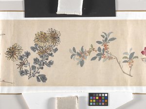 Coloured Flowers by Zhimian Zhou