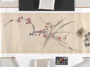 Coloured Flowers