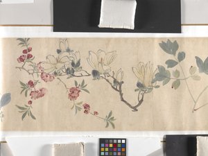 Coloured Flowers