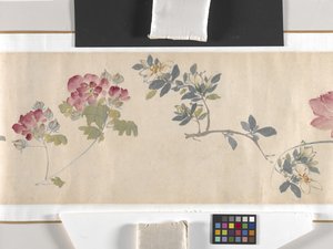 Coloured Flowers