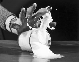 Spilt Milk, 23 February 1950