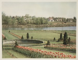 American Suburban Scene by John Pardon