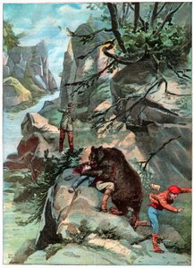 Bear Attack