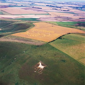 Crop circle in wheat field, Milk Hill, Alton Priors, Vale of Pewsey, Wiltshire by Ferdinand Georg Waldmuller