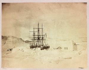 Arctic Expedition (1875-1876) by Captain George Nares: H by Frederick (attr. to) Barnard