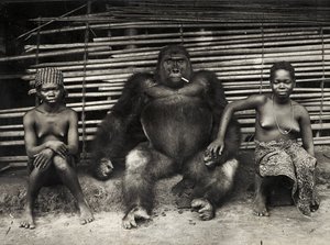 Gorilla by Hippolyte Lalaise Devéria